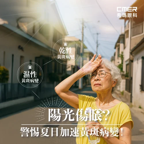 640 (6) (1).webp