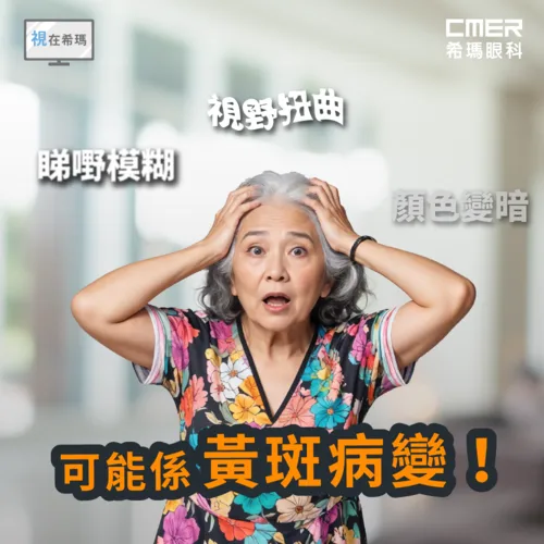 640 (1) (2).webp